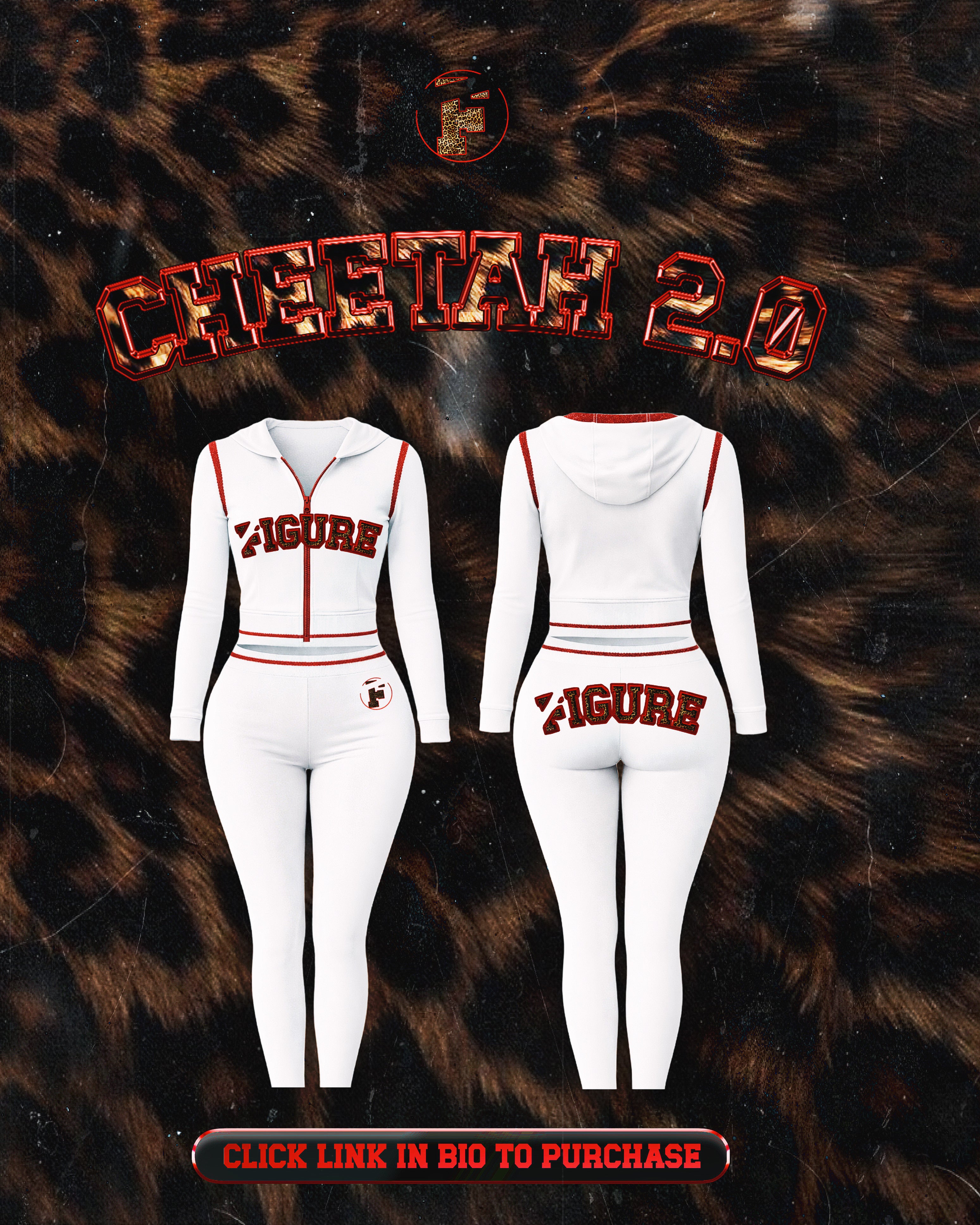 Cheetah Girl Set